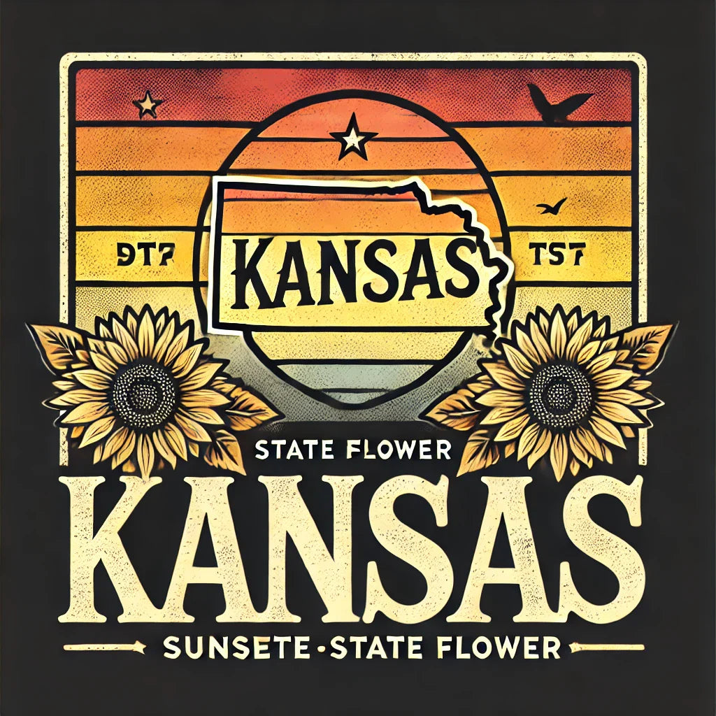 Kansas DTF Transfer